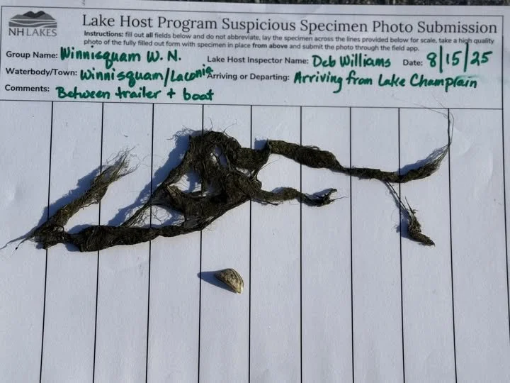 Winnisquam Lake Host prevents invasive species from entering the